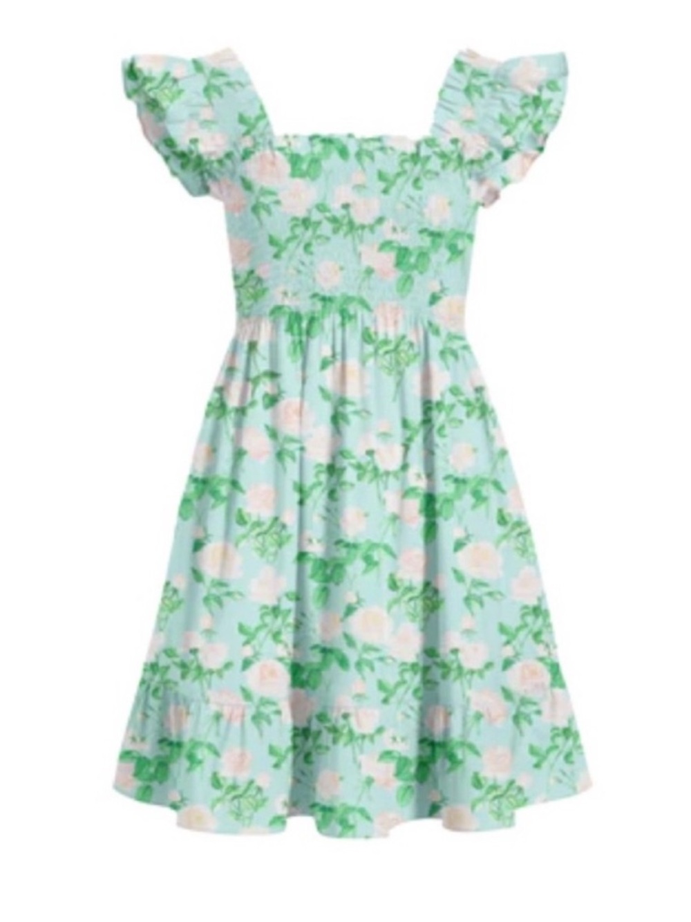 Hill House Elizabeth Nap dress. Blue Rose poplin. XS. EUC
